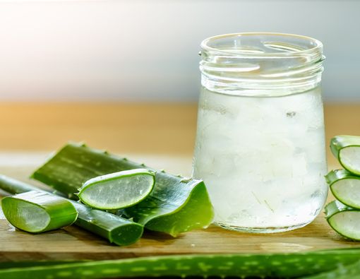 Benarkah Lidah Buaya Bisa Hilangkan Kerutan di Wajah?