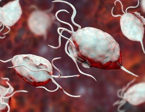 Tak Pernah Berganti Pasangan, Kok Kena Penyakit Kelamin?