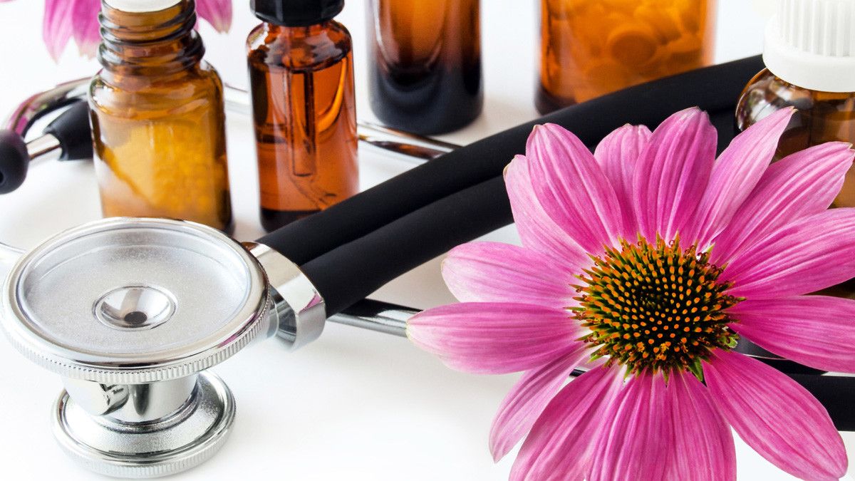 Mengenal Polinacea Apa Beda Manfaatnya dengan Echinacea Biasa?