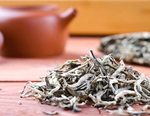 Ingin Tubuh Sehat dan Awet Muda? Coba Teh Putih!