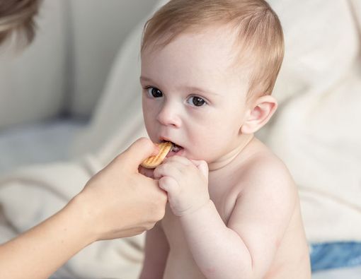 Benarkah Biskuit Merangsang Pertumbuhan Gigi si Kecil?