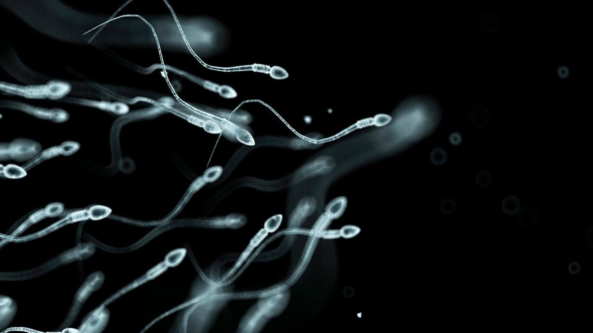 Suhu Testis Pengaruhi Kesuburan Pria, Benarkah?