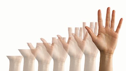 Kandung Kemih Babi: Menumbuhkan Organ Tubuh yang Rusak