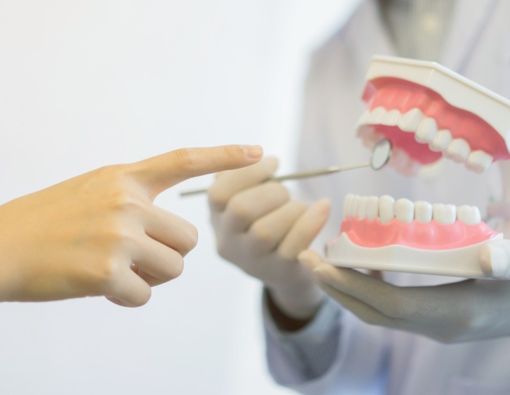 Mengenal Anatomi Gigi Manusia dan Fungsinya