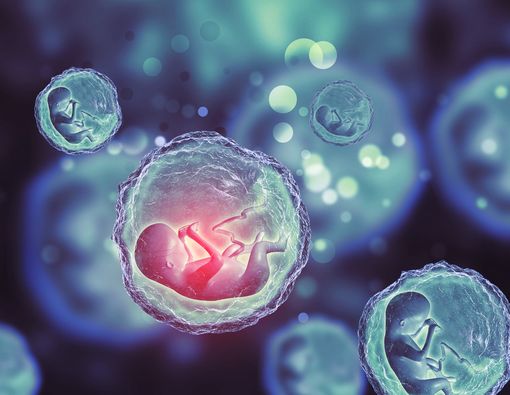 Benarkah Janin di Dalam Rahim Bisa Menangis?