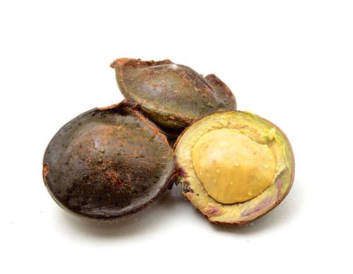 Fakta di Balik Cek Kesehatan Ginjal Lewat Jengkol