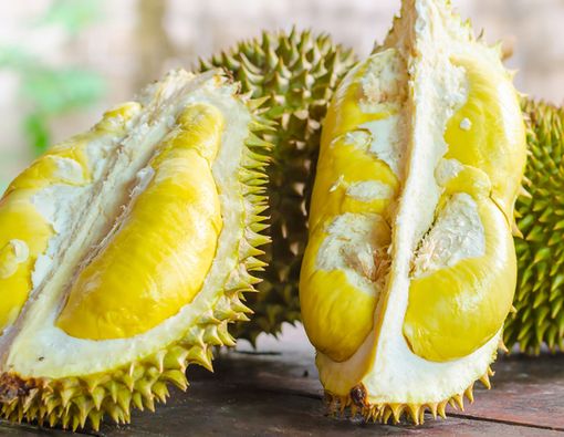 Manfaat Durian untuk Meredakan Anemia