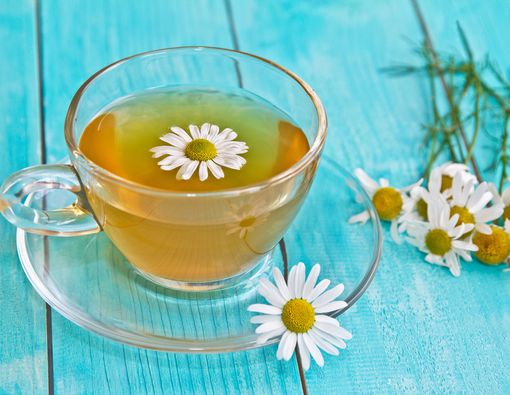 Bolehkah Ibu Hamil Minum Teh Kamomil?