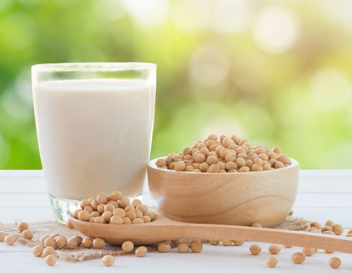 Susu Kedelai, Nutrisi Nabati yang Menyehatkan