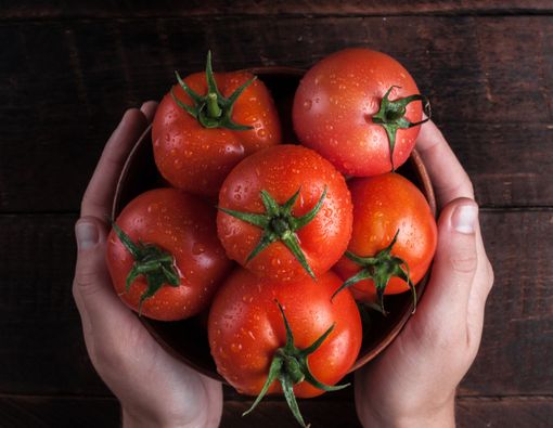 Tomat, Tumbuhan Bermanfaat yang Menyimpan Racun Mematikan