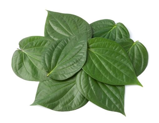 Menyingkap Manfaat Daun Sirih untuk Kecantikan Kulit