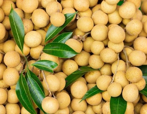 10 Manfaat Buah Kelengkeng bagi Kesehatan, Apa Saja?