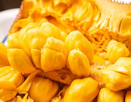 Manfaat Buah Cempedak untuk Kesehatan