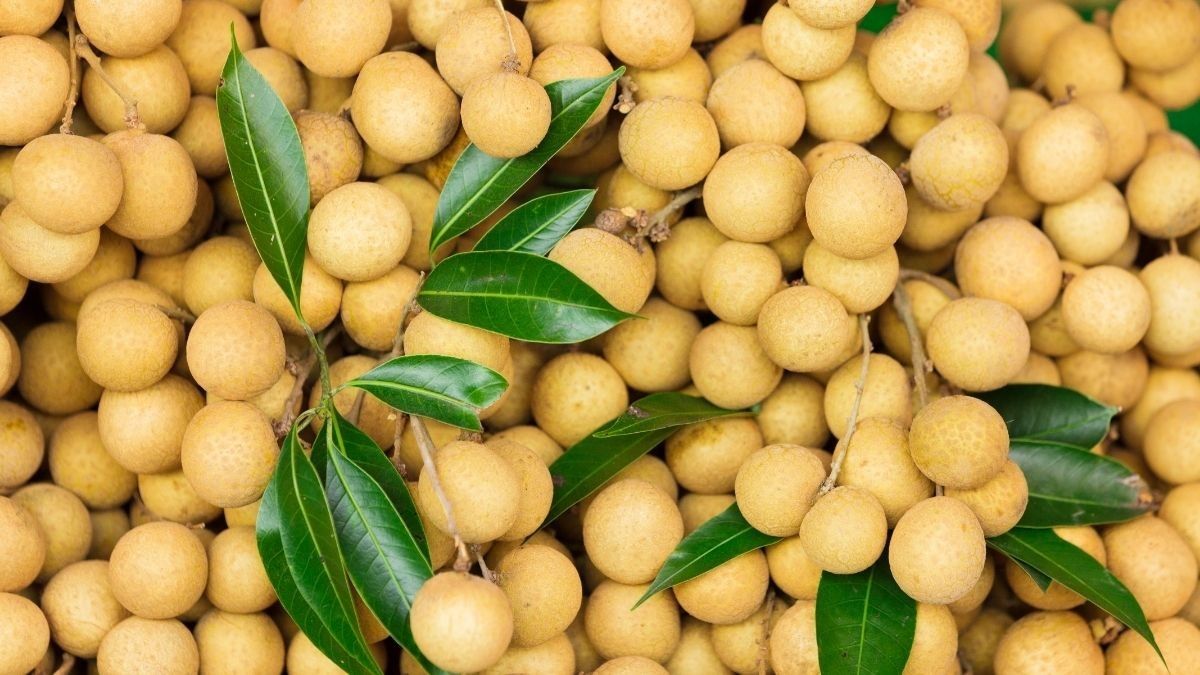 Kelengkeng: Buah Tropis Manis dengan Segudang Manfaat Kesehatan
