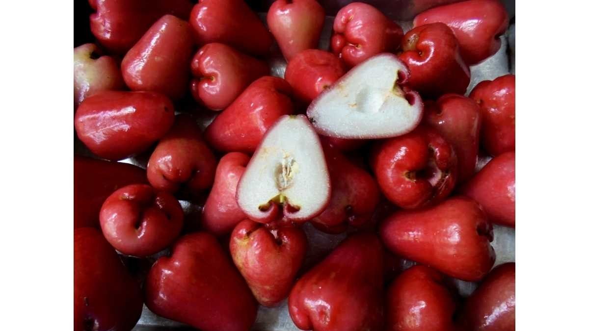 Manfaat Jambu Air Untuk Kesehatan Pencernaan