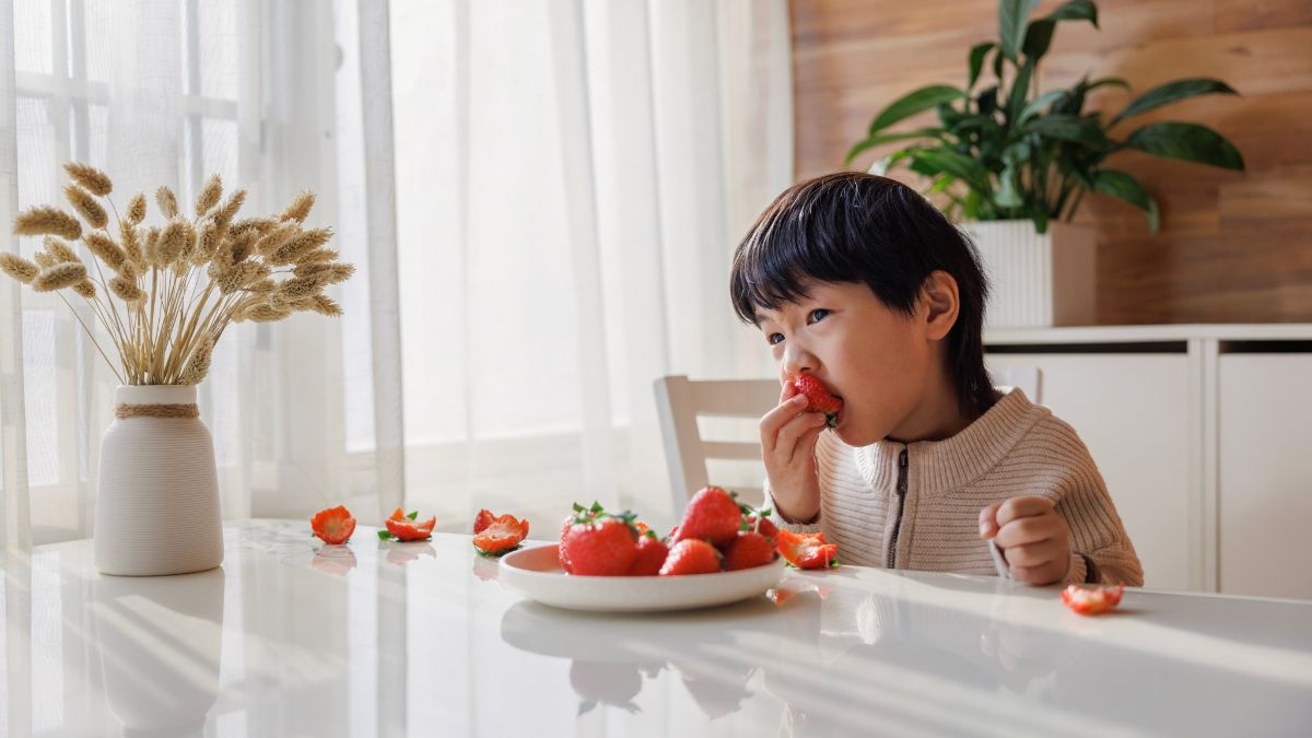 15 Vitamin Penambah Nafsu Makan Anak yang Bagus