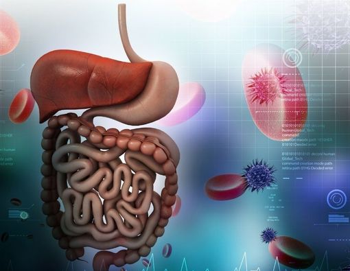 Jenis-Jenis Kanker Pankreas yang Perlu Anda Tahu