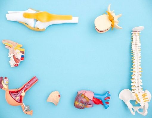 Komplikasi yang Dapat Terjadi Setelah Operasi Cangkok Tulang