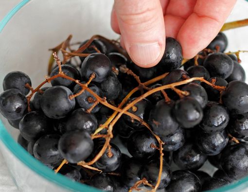 11 Manfaat Makan Anggur Hitam untuk Kesehatan