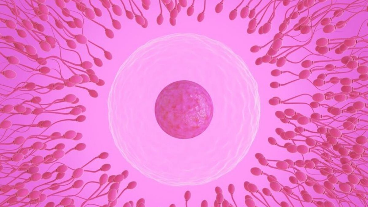 Penyebab Wanita Alergi Sperma dan Cara Mengatasinya