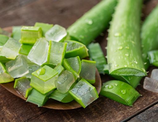 Plus-Minus Lalapan Lidah Buaya untuk Kesehatan