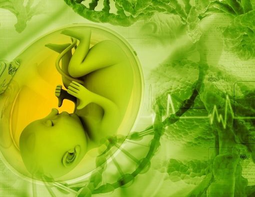 Cara Meningkatkan Berat Badan Janin Saat Hamil