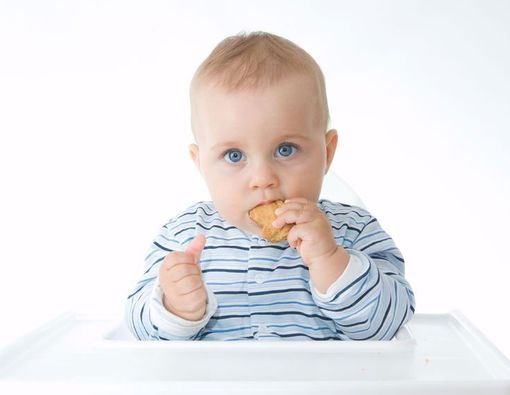 Memilih Biskuit yang Baik untuk Bayi