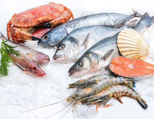 Apakah Alergi Seafood Bisa Menurun?