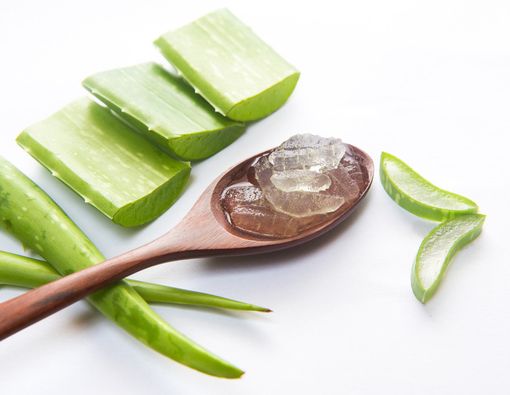 6 Manfaat Lidah Buaya untuk Rambut si Kecil