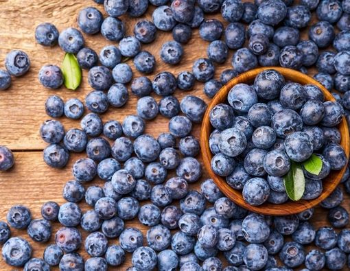 Manfaat Blueberry untuk Menu MPASI