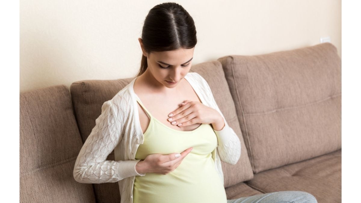 Perubahan Payudara Selama dan Setelah Kehamilan