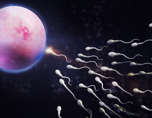 Olomon ayolni ogziga va eshagiga sikishadi