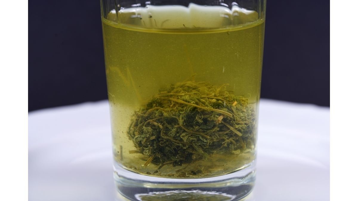 Potensi Manfaat Teh Jiaogulan untuk Penderita Diabetes