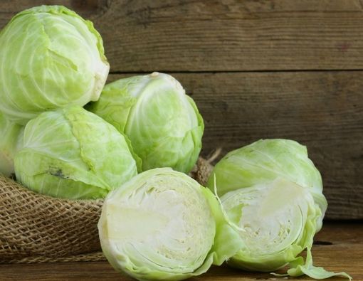 Menyingkap Manfaat Kubis Atasi Payudara Nyeri saat Menyusui