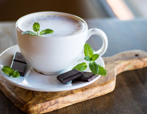 Minuman Cokelat Campur Mint Bisa Mencegah Mual?