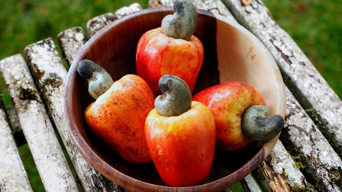 Manfaat Sehat Makan Jambu Monyet