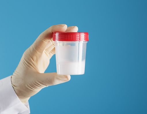 Manfaat Sperma bagi Wanita, Apakah Benar Adanya?