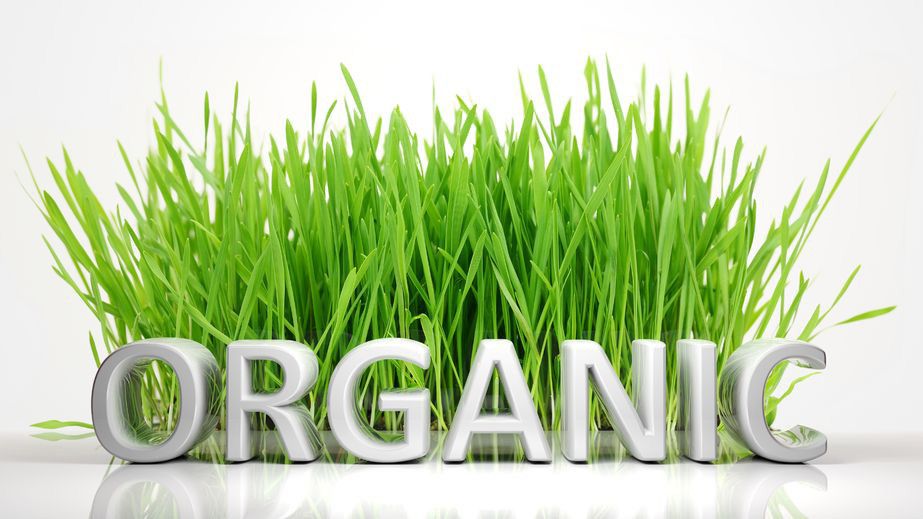 Apakah Makanan Organik Itu?