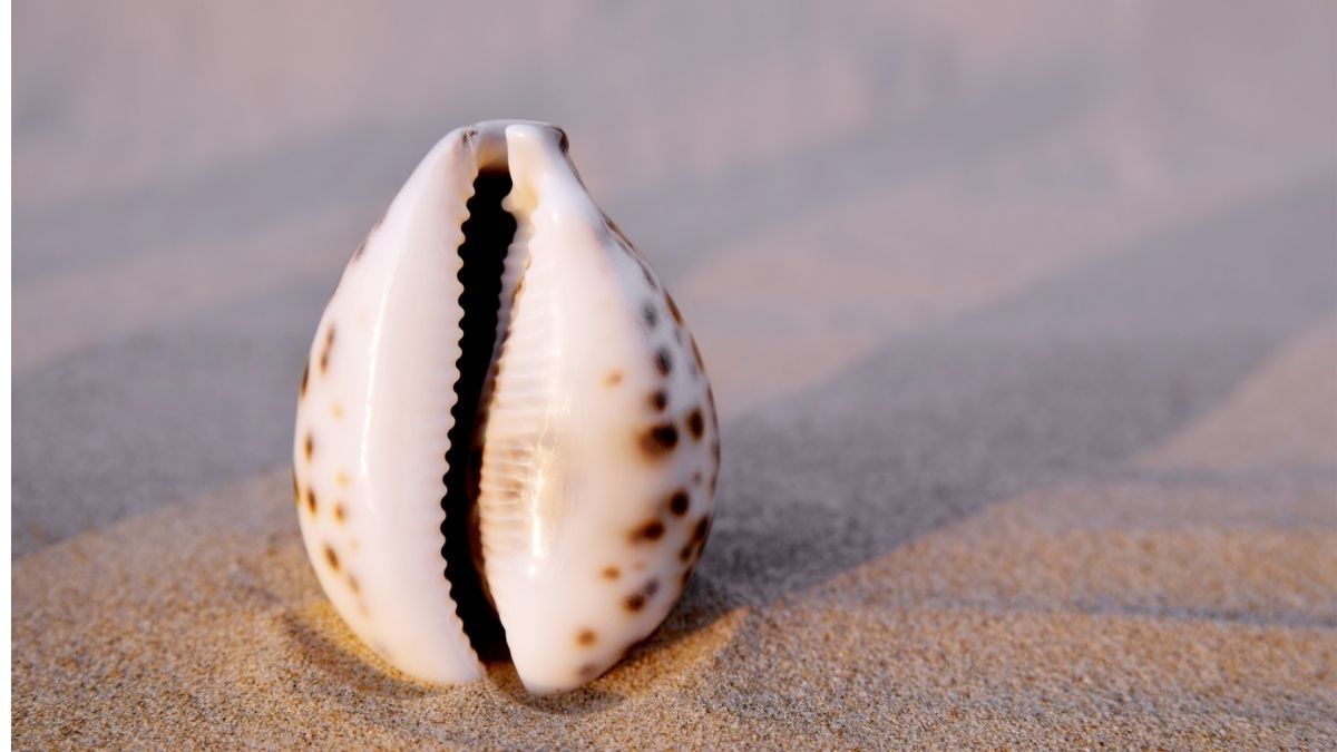 Hal yang Perlu Diketahui Seputar Pengelupasan Kulit Vagina