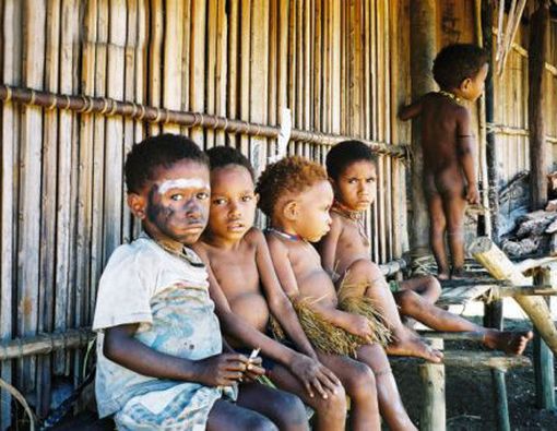 Papua Masih Terancam Malaria