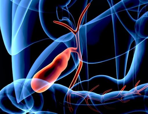 Kenali Fungsi Kantung Empedu dan Risiko Penyakitnya