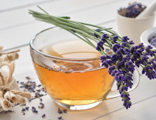 Teh Lavender, Ini Manfaatnya bagi Kesehatan