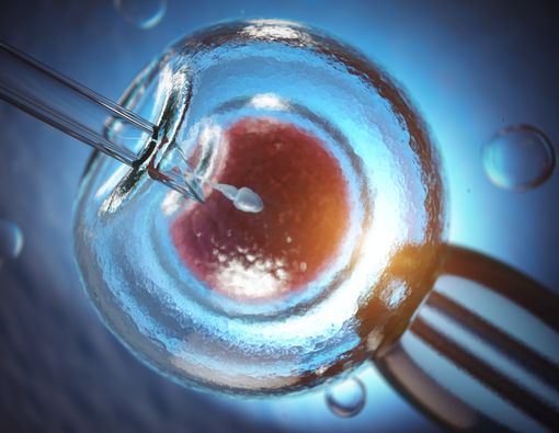 Hal yang Perlu Dilakukan dan Dihindari Setelah Transfer Embrio