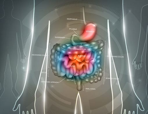 Perbedaan Sindrom Iritasi Usus Besar  dengan Sakit Mag