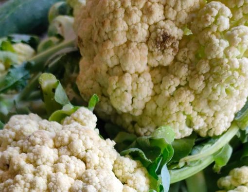 Manfaat Kembang Kol untuk Pengidap Diabetes
