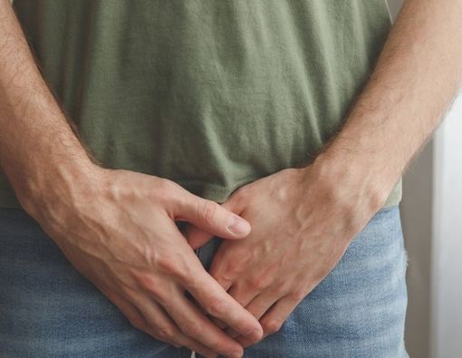 Mengenal Anatomi Penis dan Fungsinya dalam Kehidupan Pria