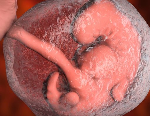 Mengenal Istilah Air Ketuban Hijau