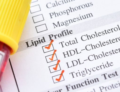 Lebih Bahaya Kolesterol atau Trigliserida, Ini Faktanya