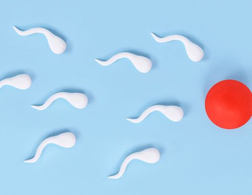 8 Ciri Sperma yang Sehat untuk Mempercepat Kehamilan