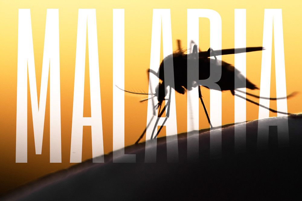 Jangan Percaya 5 Mitos tentang Malaria Ini
